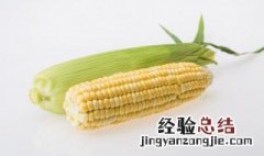 玉米怎么煮熟 速冻玉米怎么煮熟