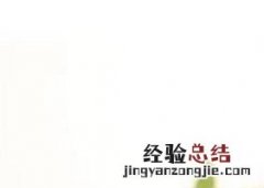牛蒡茶的功效与作用泡水喝的功效 牛蒡茶的功效与作用