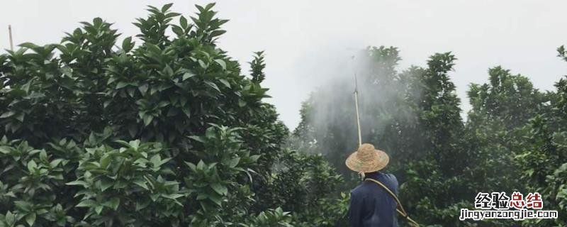 世高杀菌剂治什么病，使用时注意些什么