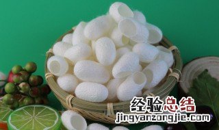 蚕茧对蚕起什么作用 蚕茧对蚕有什么作用?