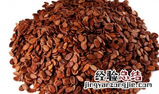 红瓜子作用和功效是什么 红瓜子作用和功效是什么呢