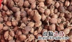 春砂仁的功效作用 到底春砂仁有什么功效