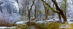 立冬遇初雪下一句 冬季里雪初晴下一句
