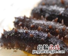 辽参的功效有哪些 辽参的营养价值及功效