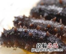 辽参的功效有哪些 辽参的营养价值及功效