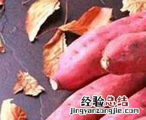 山芋的功效与作用图片 山芋的功效与作用