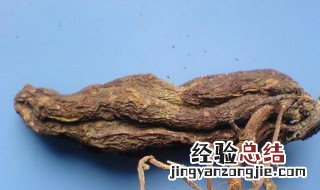 首乌和何首乌的区别 首乌和何首乌的区别与功效