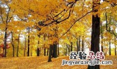 金风送爽属于哪个季节的词语 金风送爽是属于哪个季节