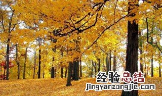 金风送爽属于哪个季节的词语 金风送爽是属于哪个季节