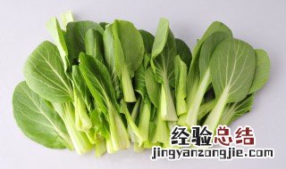 鸡毛菜什么季节吃的 鸡毛菜是什么季节的蔬菜