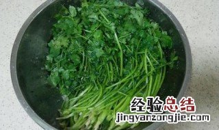 怎样腌香菜好吃又长久 香菜怎样腌好吃又长久