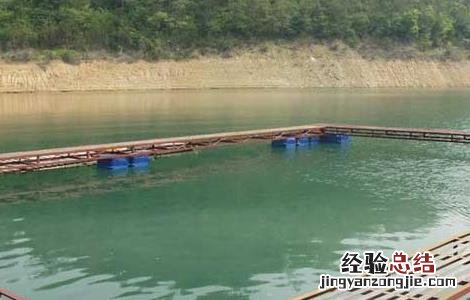 草鱼网箱养殖技术 草鱼网箱养殖技术视频教程