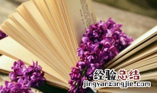 温柔文艺的神仙文案 神仙文案温柔清冷仙气
