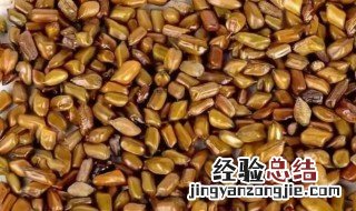 决明子有什么功效与作用 决明子有什么功效与作用泡水喝的功效
