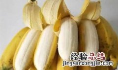 芭蕉有什么功效呢 芭蕉有什么功效呢百度百科
