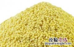吃黍米的禁忌与注意事项 吃黍米的禁忌与注意事项是什么
