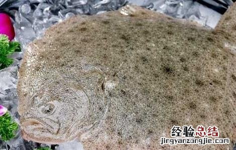 多宝鱼吃什么食物 多宝鱼有哪些吃法