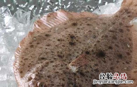 多宝鱼吃什么食物 多宝鱼有哪些吃法
