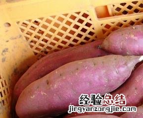 便秘怎么办 便秘怎么办 快速排便的方法