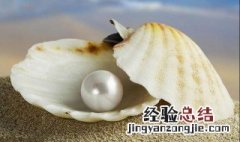珍珠母有什么功效 桂枝的功 珍珠母有什么功效