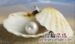 珍珠母有什么功效 桂枝的功 珍珠母有什么功效
