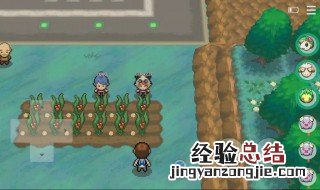 pokemmo树果种子怎么得 pokemmo树果种子获得