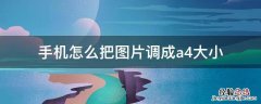 手机怎么把图片调成a4大小 手机图片怎么改成a4大小