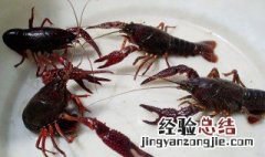 小龙虾线怎么挑 小龙虾线怎么挑出来最方便视频