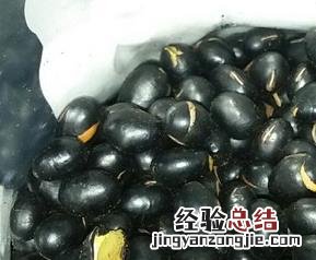 黑豆怎么炒好吃又有营养 黑豆怎么炒好吃