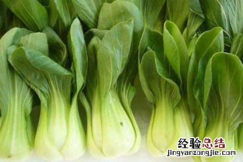 白露种什么農作物 白露种植什么作物