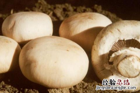 收集9种特色作物 特色作物哪些
