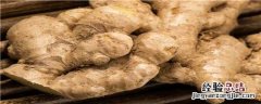生姜种植技术和管理生姜用什么肥 生姜种植技术和管理生姜用什么肥料好