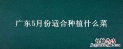 广东5月份适合种植什么菜苗 广东5月份适合种植什么菜