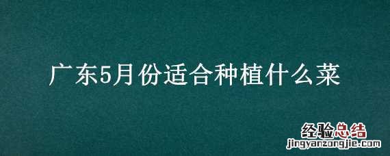 广东5月份适合种植什么菜苗 广东5月份适合种植什么菜