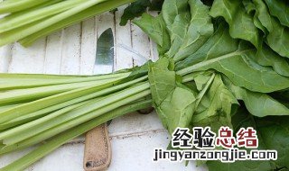 牛皮菜怎么做好吃呢 牛皮菜怎么做好吃?