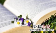 人生态度的名言句 有关人生态度的经典语录