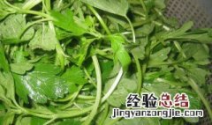益母草的吃法大全 益母草的吃法