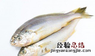 鱼没杀可以放冰箱冻吗 没杀的鱼放冰箱可以吗
