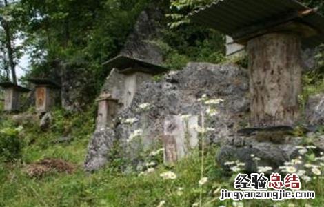 暖冬蜜蜂管理要点 暖冬蜜蜂管理要点是什么