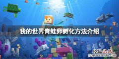 青蛙卵用盆怎么孵化 我的世界青蛙卵怎么孵化