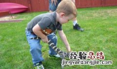 怎样提高孩子的注意力 提高孩子注意力的几个小方法