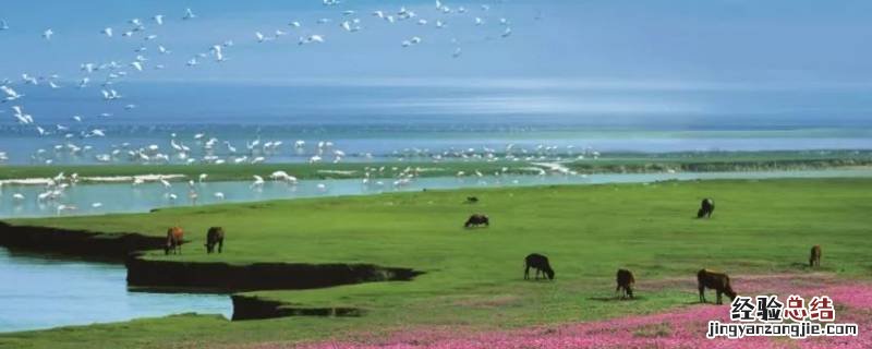 鄱阳湖在哪个省份面积是多少平方米 鄱阳湖面积多少平方米