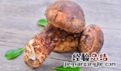 松茸吃法 制作黄油煎松茸的方法