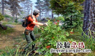 板娘小薇明日之后几区 了解一下