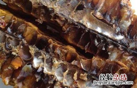 中蜂人为造成烂子的原因 中蜂烂子病会不会传染