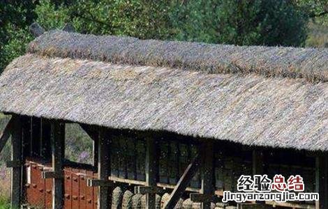 养蜂冬季应该注意什么 冬季养蜂注意事项