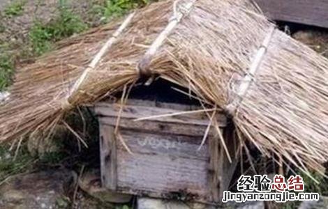 养蜂冬季应该注意什么 冬季养蜂注意事项