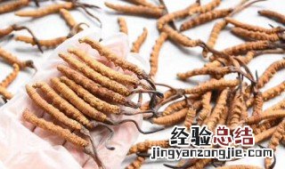 冬虫夏草怎样吃效果最好 怎样吃冬虫夏草效果最好