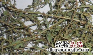 萹蓄有什么功效 萹蓄的功效与作用吃法