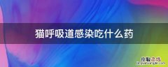 猫得了上呼吸道感染得要用什么药 猫呼吸道感染吃什么药